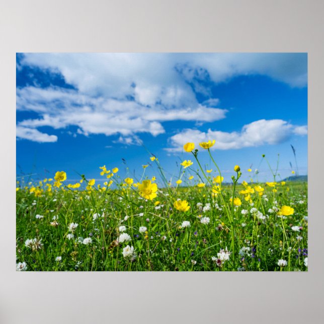 Poster île de South Uist | Écosse (Devant)