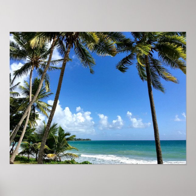 Poster île des Caraïbes, Martinique (Devant)