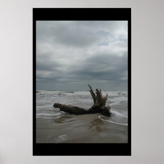 Poster Île Padre - Janvier 2004