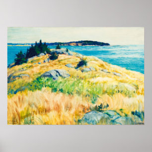 Poster Îles du Maine par Newell Convers Wyeth