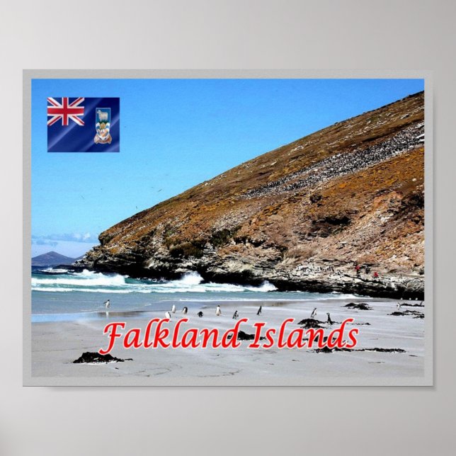 Poster Îles Falkland - (Devant)