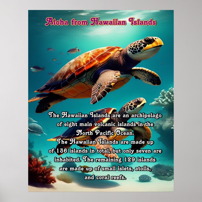 Poster Iles hawaïennes terre d'Aloha (Devant)