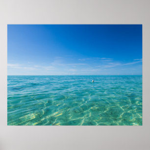 Poster Îles Turques et Caïques