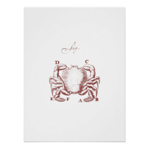 Poster Illision de crabe vintage