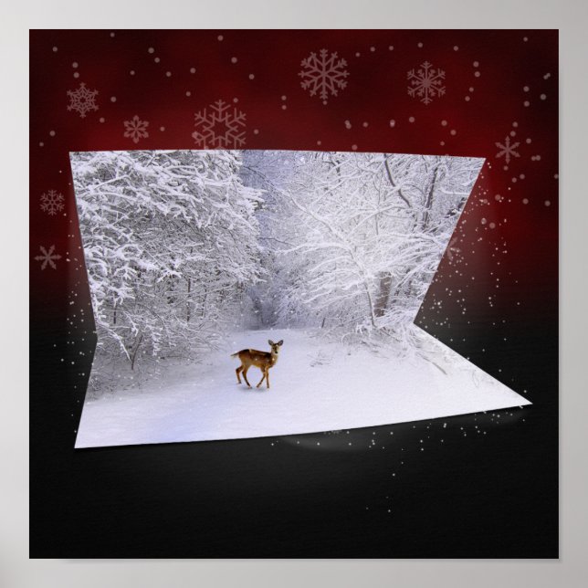 Poster Illusion 3D "Rêves neigeux" (Devant)