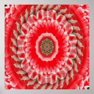 Poster Illusion de tulipe......