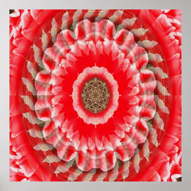 Poster Illusion de tulipe...... (Devant)