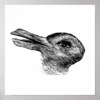 illusion du canard de lapin