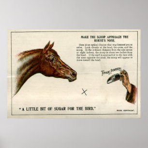 Poster Illusion optique 1896