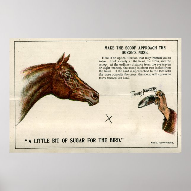 Poster Illusion optique 1896 (Devant)