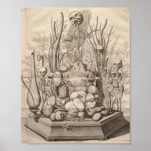 Poster Illustration anatomique vintage (Devant)