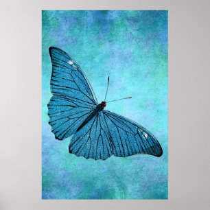 Poster Illustration bleue turquoise vintage de 1800s de