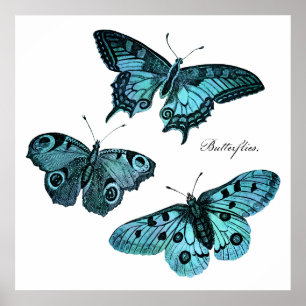 Poster Illustration bleue turquoise vintage de papillon -
