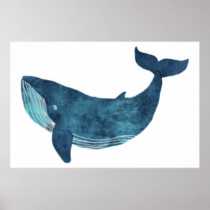 Poster Illustration Blue Whale