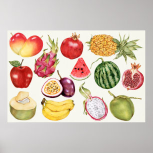 Poster Illustration botanique