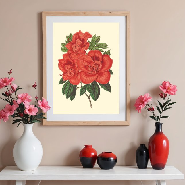 Poster Illustration botanique de l'Azalée rouge (Créateur téléchargé)