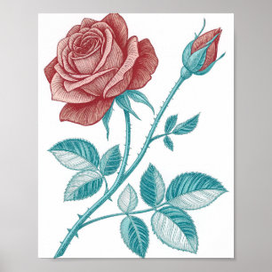 Poster Illustration botanique de style gravure vintage d'