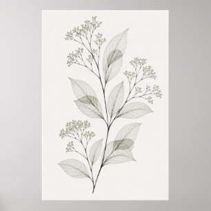 Poster Illustration botanique de veine de salle de séjour