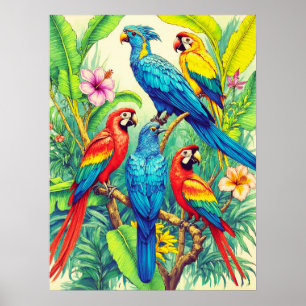 Poster Illustration botanique d'oiseaux tropicaux