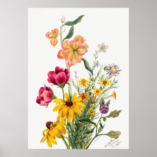 Poster Illustration botanique vintage (Devant)