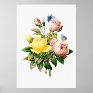 Poster Illustration botanique vintage