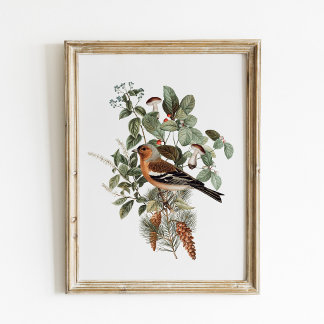 Poster Illustration botanique vintage d'oiseau et de cham