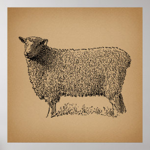 Poster Illustration classique de l'art du mouton animal d