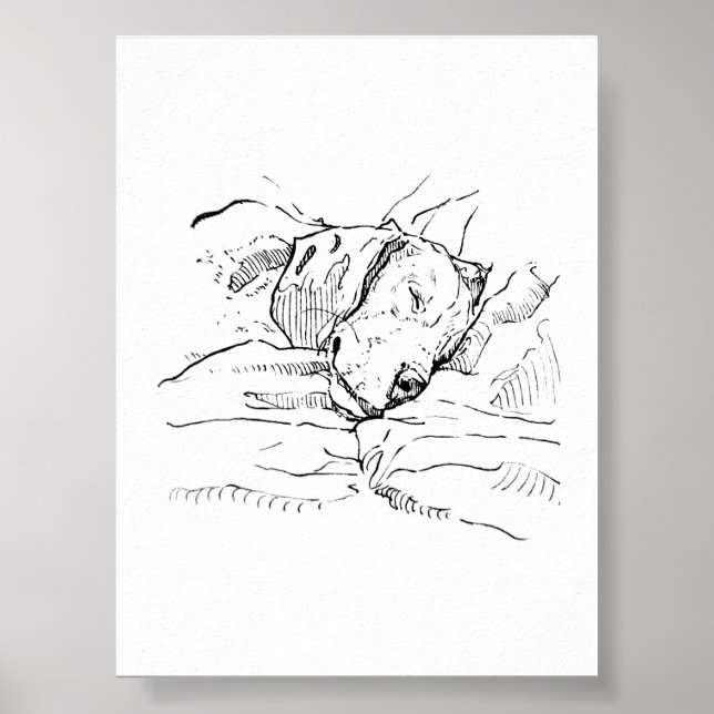 Poster Illustration d'amour pour le chien Beagle  (Devant)