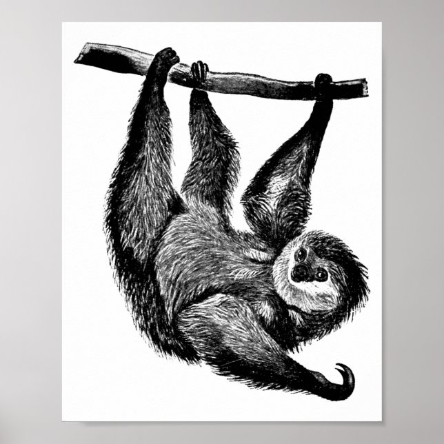 Poster Illustration d'animaux safari dans la jungle de Sl (Devant)