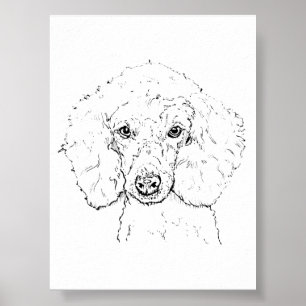 Poster Illustration de chien caniche mignon, dessinée à l