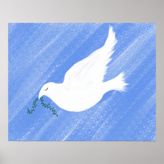 Poster Illustration de colombe pacifique (Devant)