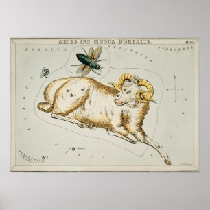Poster Illustration de constellation vintage