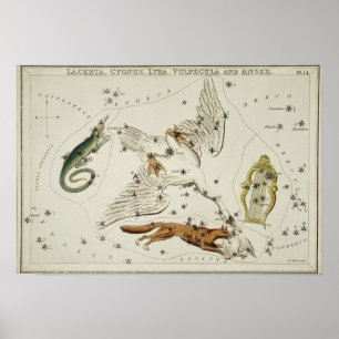 Poster Illustration de constellation vintage