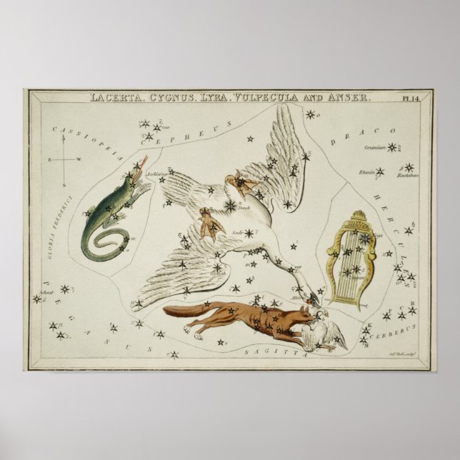 Poster Illustration de constellation vintage (Devant)