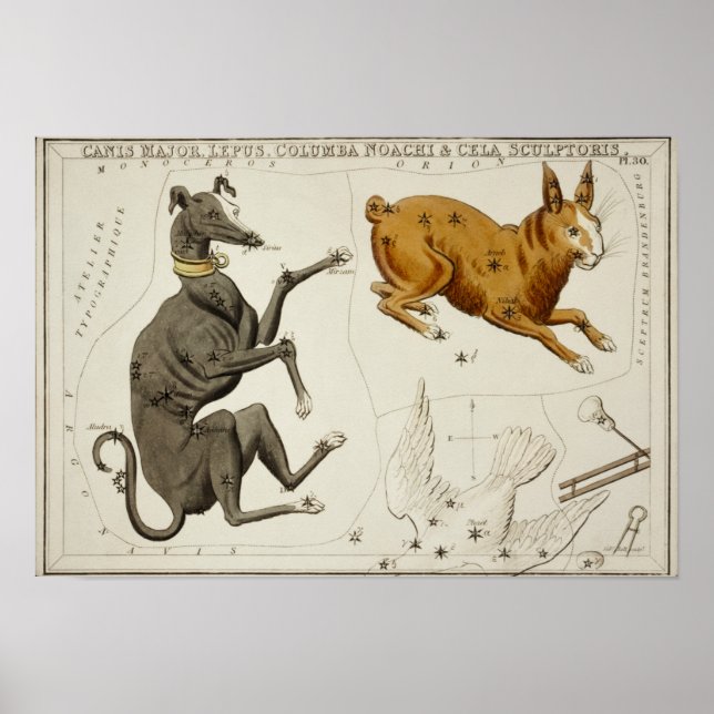 Poster Illustration de constellation vintage (Devant)