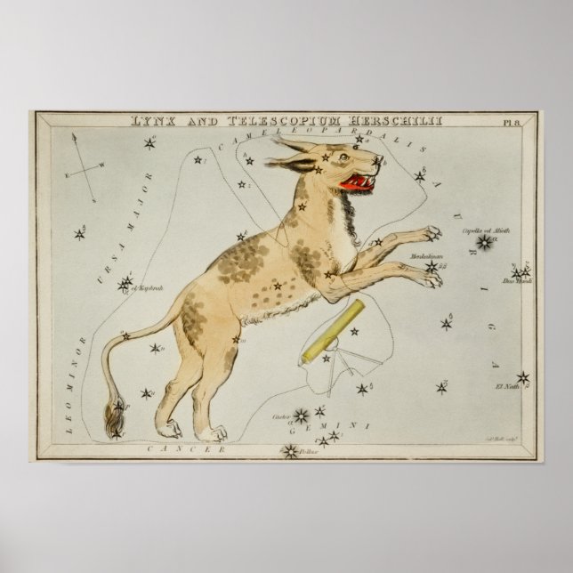 Poster Illustration de constellation vintage (Devant)