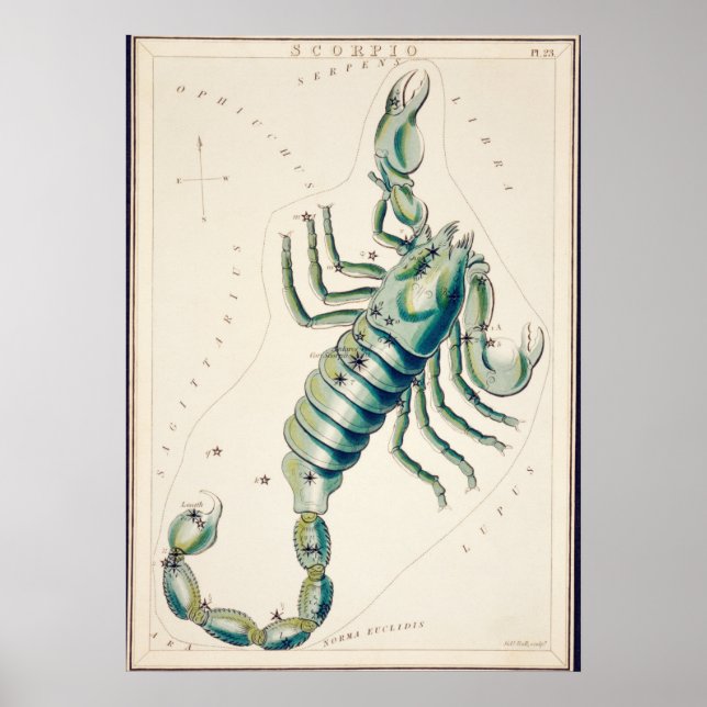 Poster Illustration de constellation vintage (Devant)