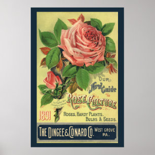 Poster Illustration de couverture de livre Guide Vintage