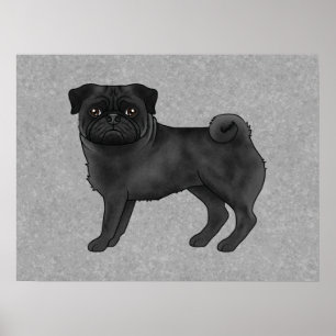 Poster Illustration de dessin animé de chien Carlin noir 