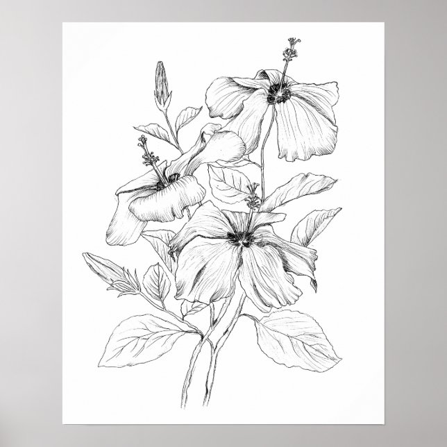 Poster illustration de fleurs d'hibiscus noir et blanc (Devant)