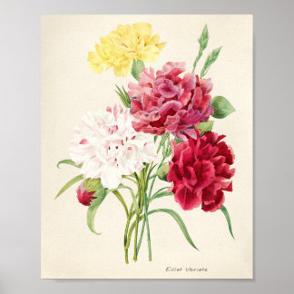 Poster illustration de fleurs roses pour artsy