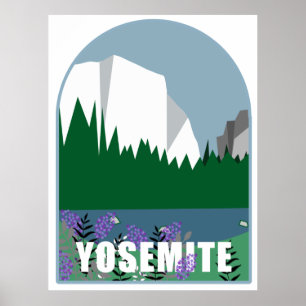 Poster Illustration De fleurs sauvages Dans Le Parc Natio