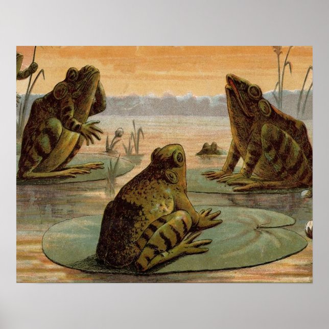 Poster Illustration de grenouilles Lily Pads Moon (Devant)