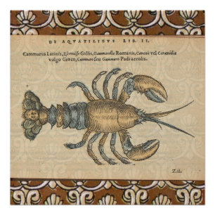 Poster Illustration de homard vintage : damas côtier 