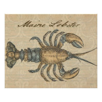 Illustration de homard vintage : damas côtier 