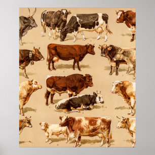 Poster Illustration de la ferme de vaches laitières vinta