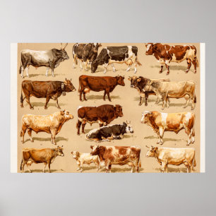 Poster Illustration de la ferme de vaches laitières vinta