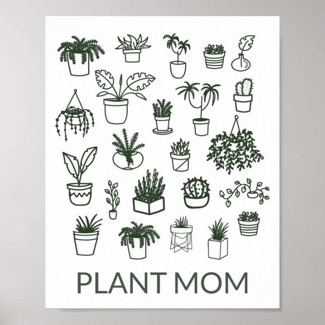 Poster Illustration de la plante domestique Plante mignon (Devant)