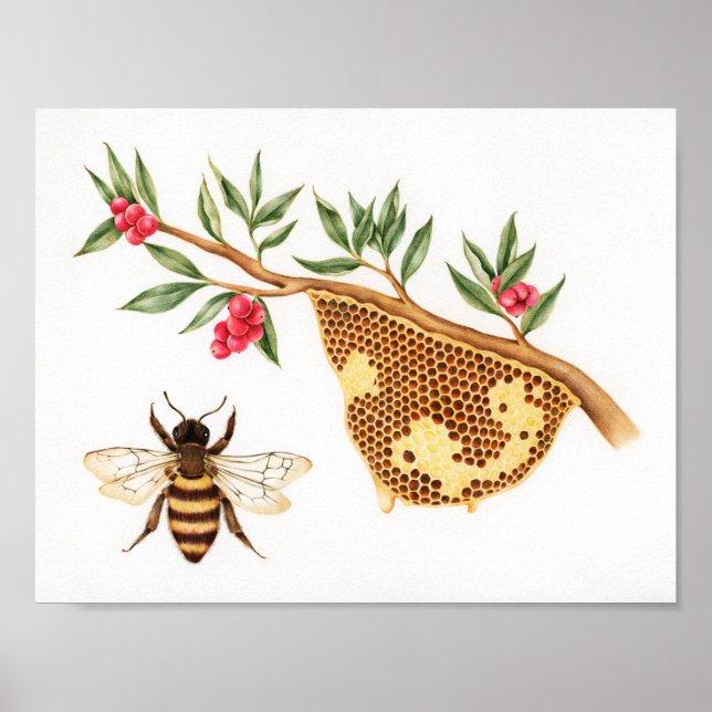 Poster Illustration de l'abeille de miel (Devant)