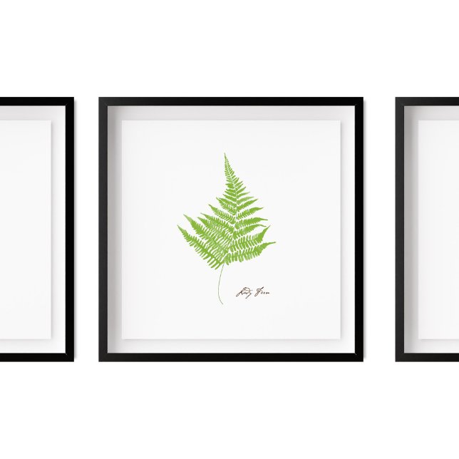 Poster Illustration de Lady Fern | Série Fern (Créateur téléchargé)